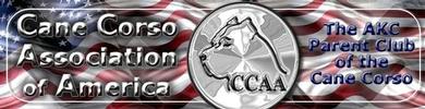 Cane Corso Association of America