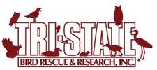 Tri-State Bird Rescue & Research