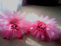 Little princess Tutus and more