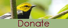 Tri-State Bird Rescue & Research