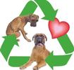 Recycled Doggies, Inc.