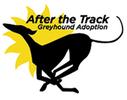 After The Track Greyhound Adoption