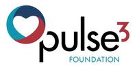 Pulse3 Foundation - Shocks and Saves