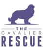 The Cavalier Rescue