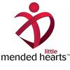 Mended Little Hearts of Washington D.C.