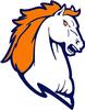 Brandeis Bronco Band Boosters