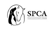 Society for the Prevention of Cruelty to Animals of Hancock County