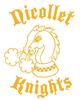 Nicollet Knights (formerly Metcalf Masters) Chess Club