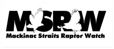 Mackinac Straits Raptor Watch