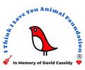 I Think I Love You Animal Foundation Presents David Cassidy 