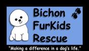 Bichon FurKids Rescue