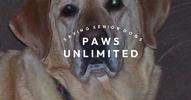 Paws Unlimited Foundation