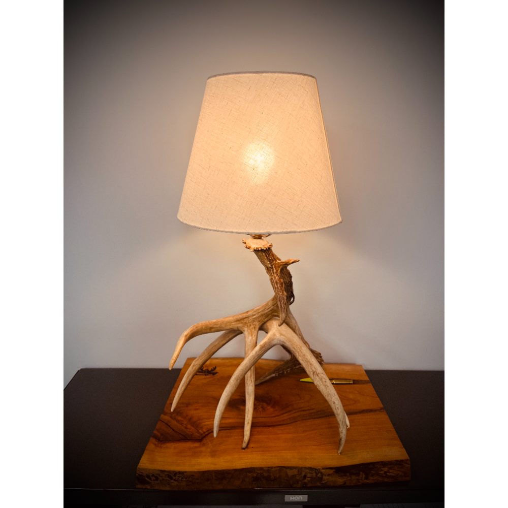 Hand-Crafted Antler Lamp