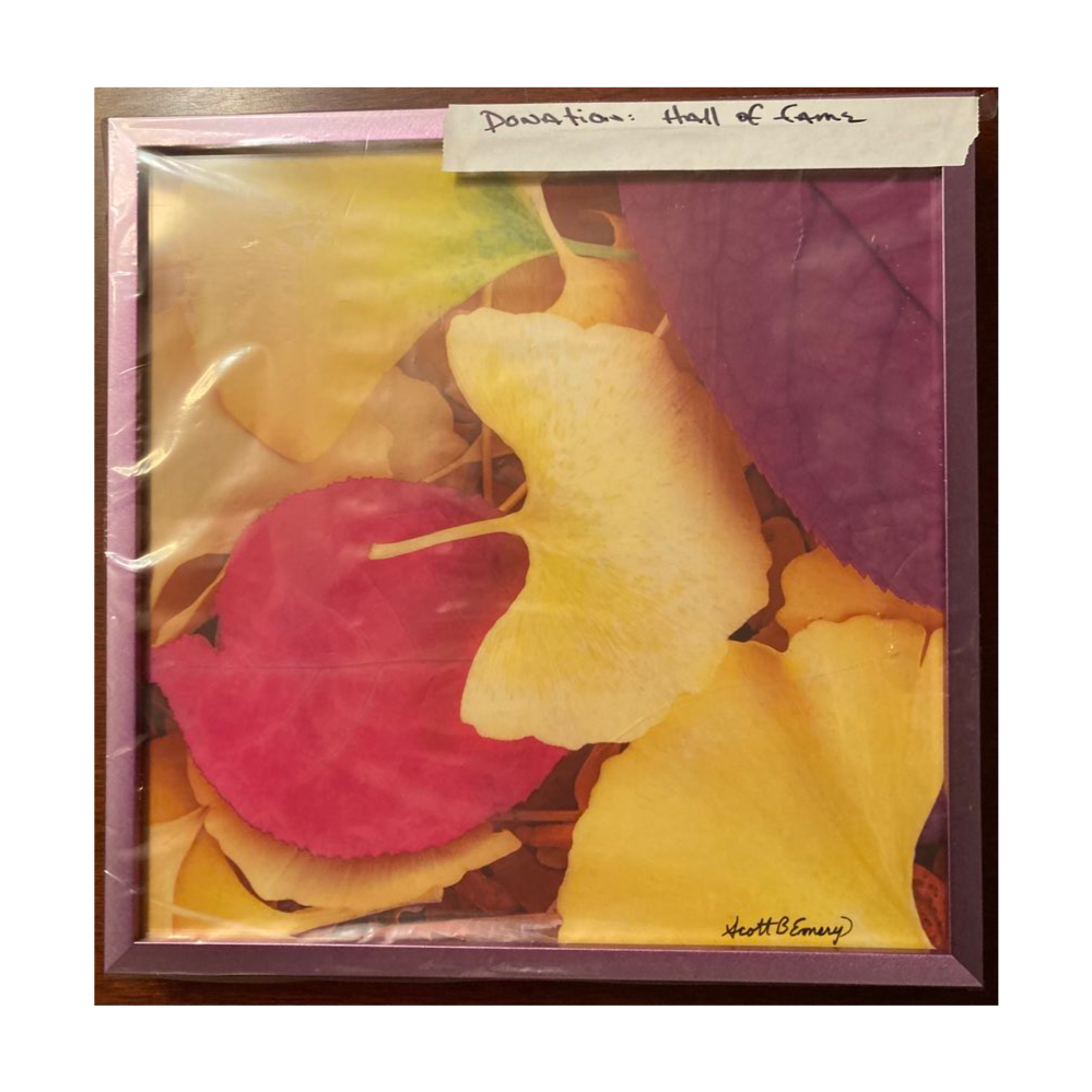 Autumn Leaves in Oak Park Framed and signed original photograph by Scott B. Emery