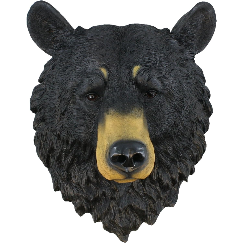 Black Bear ~ Bust ~ Grandfather Mountain Large 17.5" Bear Head Wall Mount