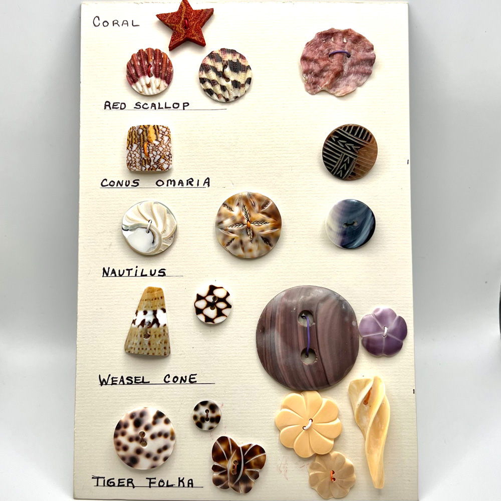 Card of 19 assorted shell buttons.