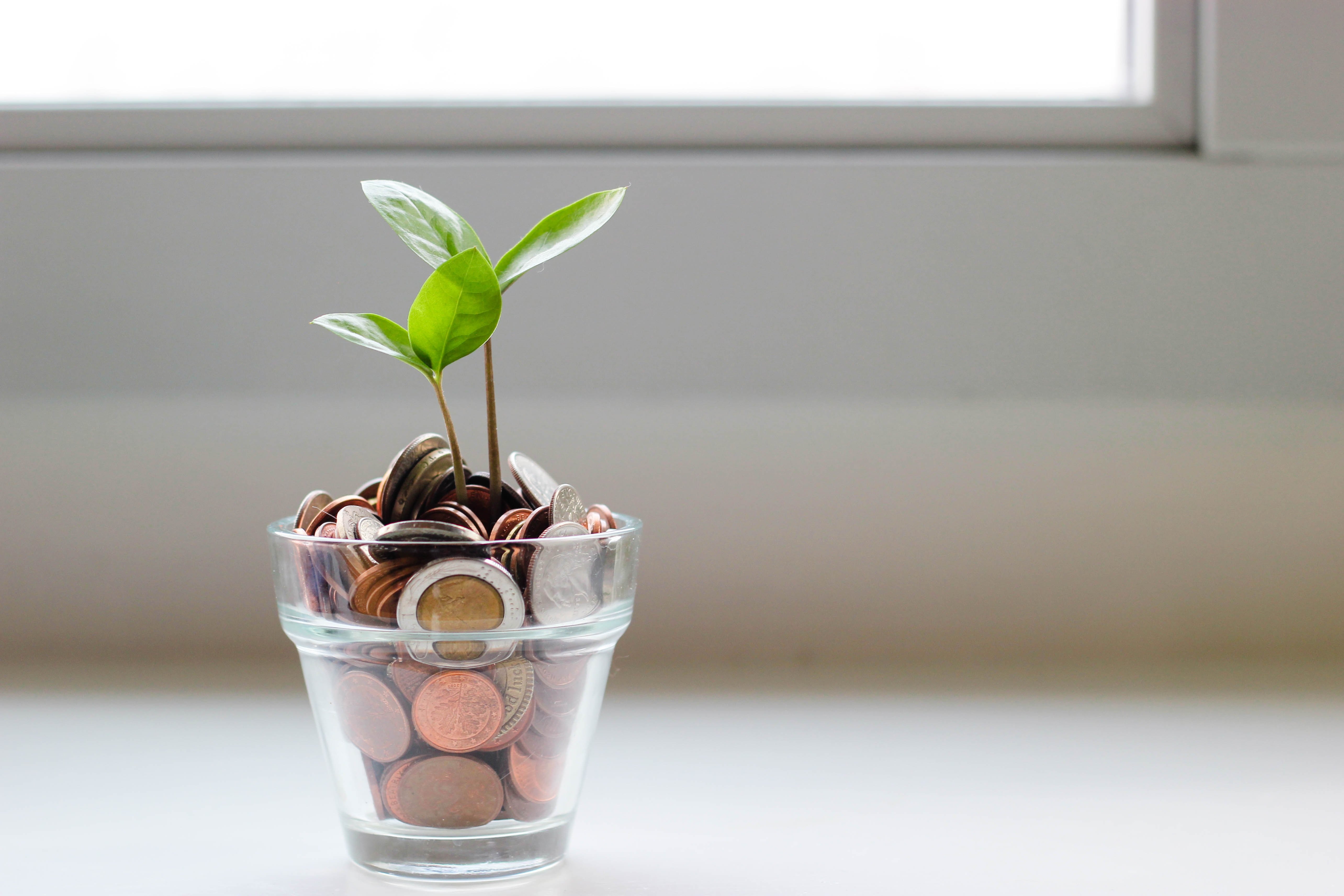 Charity fundraiser ideas
