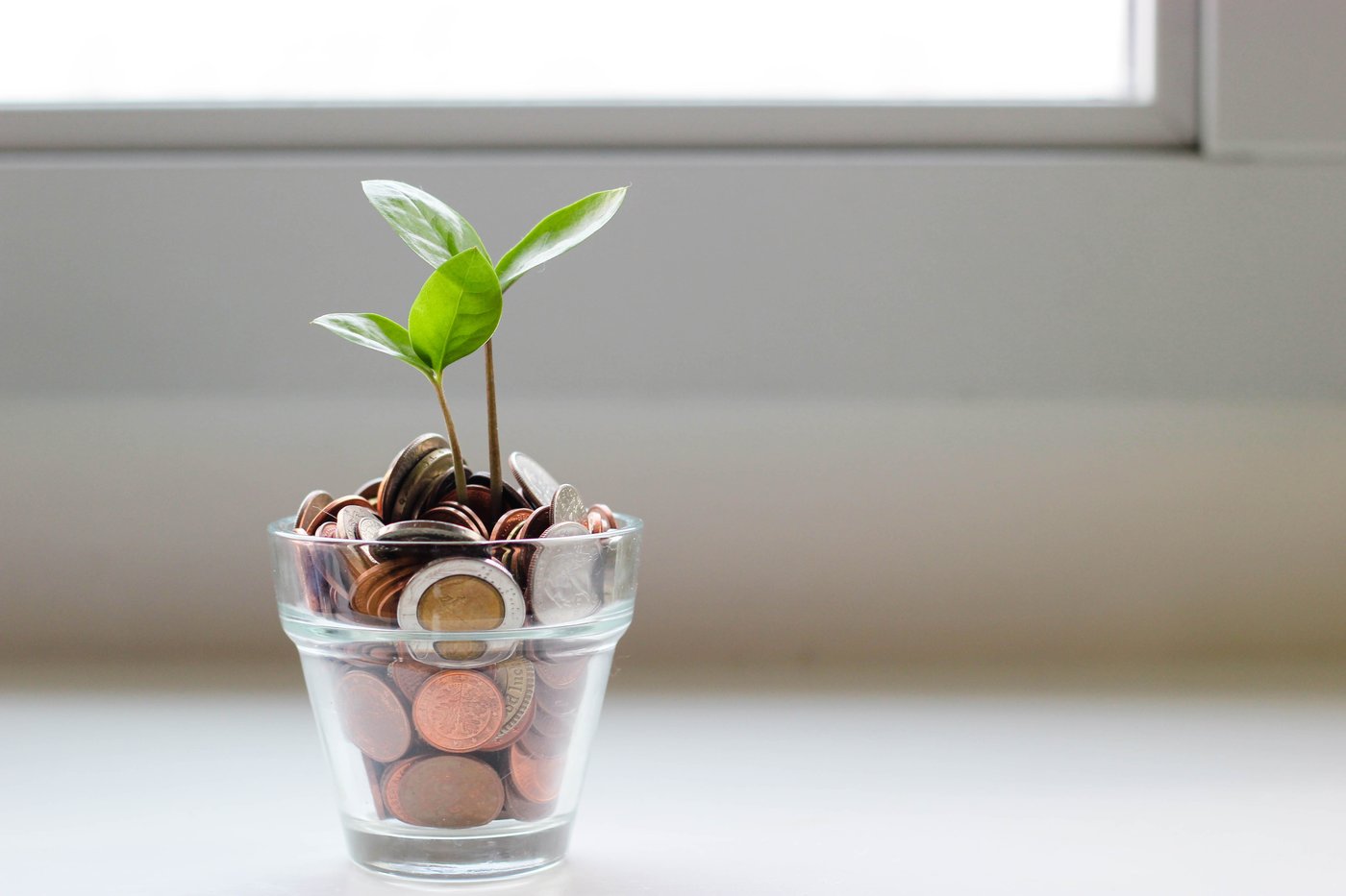 Charity fundraiser ideas