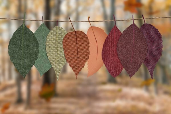 Fall Festival Ideas For Your Fundraiser