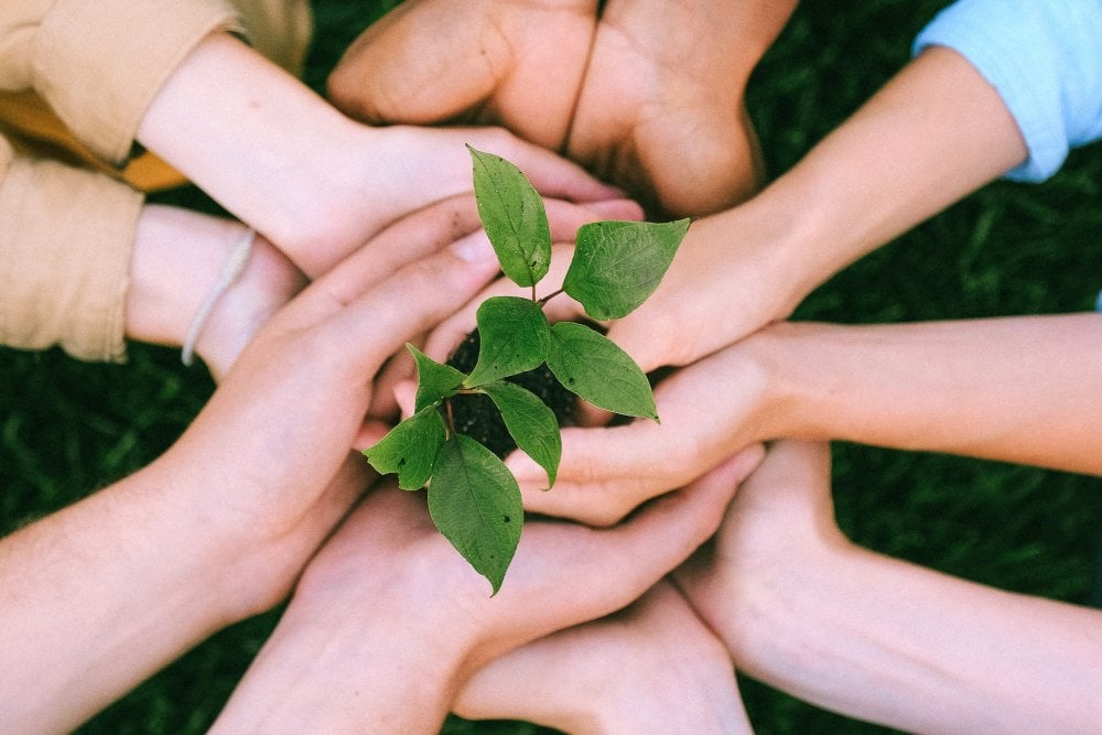 Not-for-profit vs nonprofit