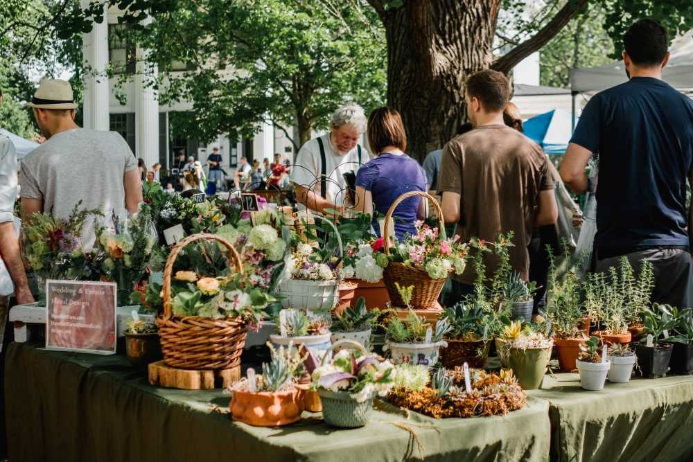 Selling flowers and plants at fundraiser