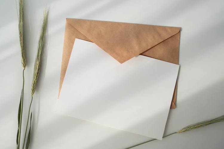 How to write a silent auction donation request letter
