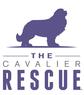 Cavalier Rescue of Alabama