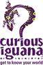 Curious Iguana Bookstore
