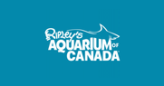 Ripleys Aquarium 