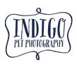 Indigo Pet Photography