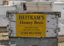 Heitkams Honey Bees