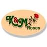 K and M roses