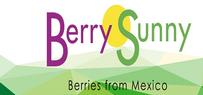 Berry Sunny Internationalb