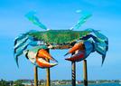 Rockport Big Blue Crab